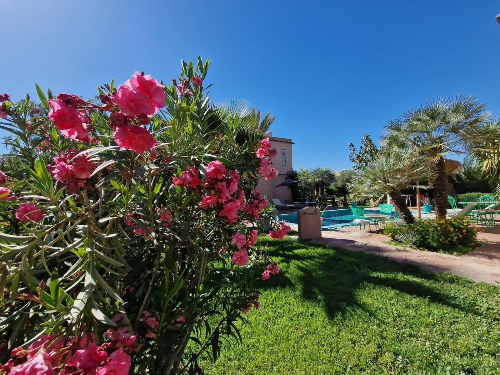 Manzal Lahbab, 2Villas 2Bungalows 2Piscines Et Jardins Ouled Jelal Exteriér fotografie